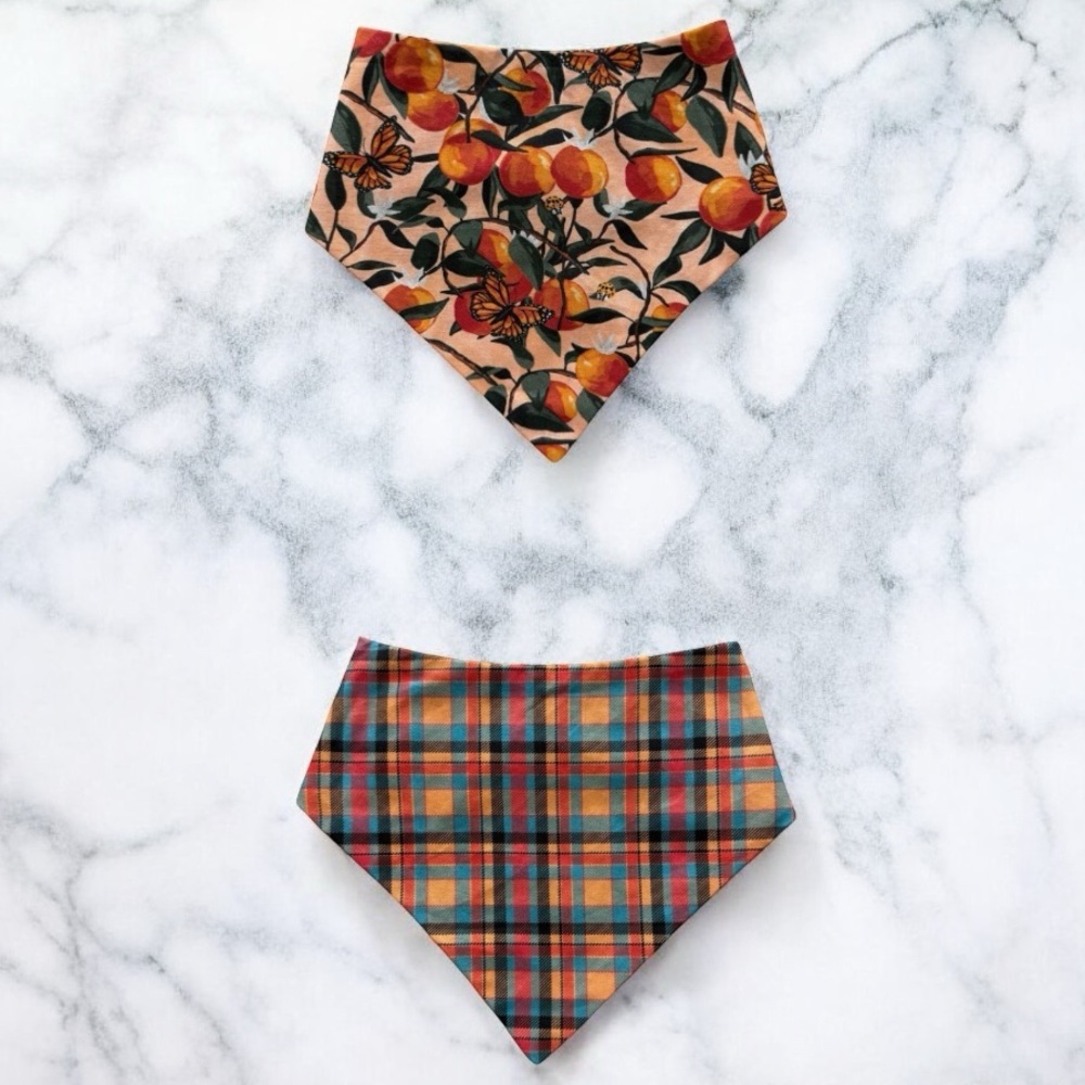 DOG Bandana - Fruits & Autumn Plaid (Reversible) - Size L Large
